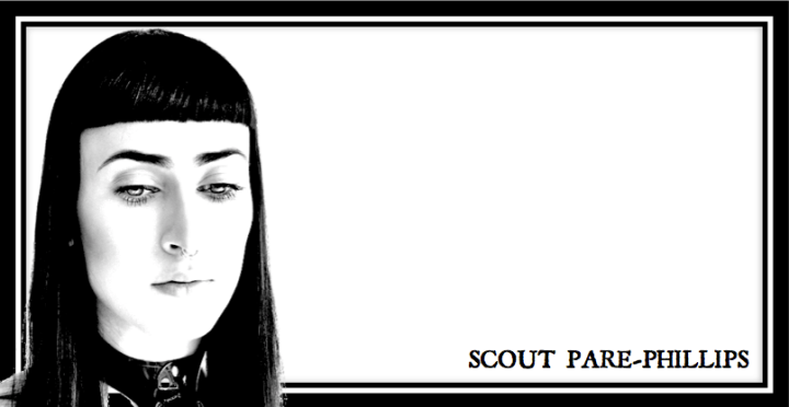scout pare phillips header